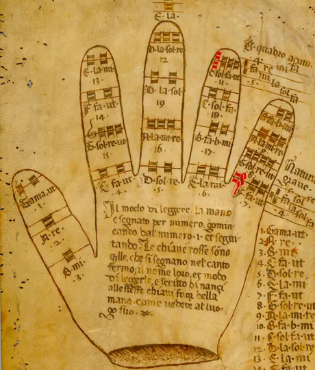 A drawn hand on parchment, each joint labeled with a note of the musical scale.